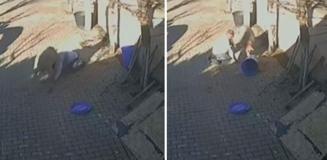 Silivri'de sahibine dakikalarca saldıran koç kamerada