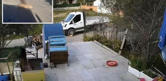 Yol kenarında yatan köpeği ezdi, arkasına bakmadan gitti