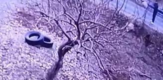 Kendisine doğru koşan köpeği tüfekle vurup öldürdü