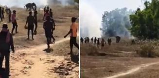 Kontrolden çıkan fil, 22 kişiyi öldürdü: Köylüler çatı ve ağaçlarda uyuyor