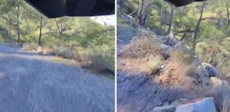 Uçuruma yuvarlanırken tek bir kelime haykırdı