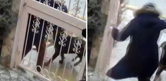 Sahipsiz köpeklerin saldırısına uğrayan kadın komşusunun müdahalesiyle kurtuldu