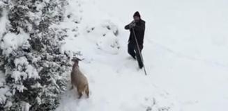 Ankaralı çoban, kendisine yaklaşan drona tüfek doğrulttu Ankaralı çoban, kendisine yaklaşan drona tüfek doğrulttu