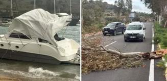Gözde tatil beldemizi fırtına vurdu! Tekne karaya oturdu, ağaçlar devrildi Gözde tatil beldemizi fırtına vurdu! Tekne karaya oturdu, ağaçlar devrildi