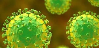 Hızla yayılan virüs için Türk uzmandan endişe veren uyarı Hızla yayılan virüs için Türk uzmandan endişe veren uyarı