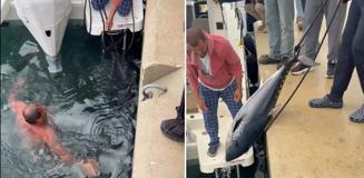 Soğuk engel olmadı, buz gibi suya girip 1.5 metrelik orkinos avladı