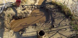 Mezarlıkta çıkıyor, yerinde sabit durmuyor! Şifa arayan buraya koşuyor