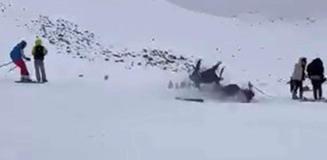 Bingöl'de kayak merkezinde feci kaza: 6 yaralı