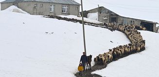 Bu köyün tek sakini onlar! 9 yıldır 3 metre karın altında nöbet tutuyorlar Bu köyün tek sakini onlar! 9 yıldır 3 metre karın altında nöbet tutuyorlar