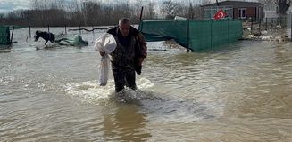 Meriç Nehri taştı, çuvalını kapan tarlada sazan topladı Meriç Nehri taştı, çuvalını kapan tarlada sazan topladı