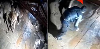 Dehşete düşüren görüntü Kars'tan: Besici zamanında yetişemese yanmıştı Dehşete düşüren görüntü Kars'tan: Besici zamanında yetişemese yanmıştı
