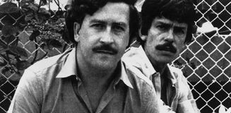 Kolombiya, Escobar'dan kalan su aygırlarının itlaf edilmesine onay verdi