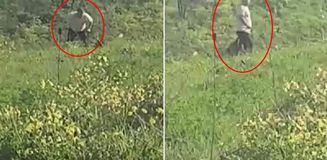 Avcılar'da köpeğe kemerle şiddet uygulayan şüpheli aranıyor Avcılar'da köpeğe kemerle şiddet uygulayan şüpheli aranıyor