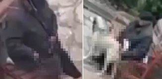 Skandal görüntü! Parktaki sokak hayvanlarını istismar etti