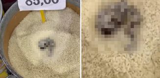 Açıkta satılan pirinçte kedi dışkısı görüldü, markete 52 bin TL ceza kesildi