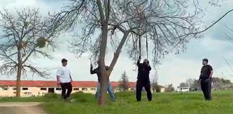 Eskişehir'de 'mangal için ağaç dalını kırmaya çalıştılar' iddiası
