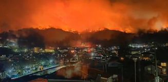Japonya'nın Iwate eyaletinde orman yangını