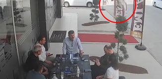 Sohbet masasına düşen davetsiz misafir kısa süreli paniğe neden oldu