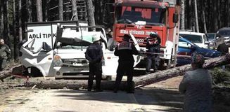 Uludağ'da inanılmaz olay...Kesilen ağaç seyir halindeki kamyonetin üzerine devrildi: 1 ölü