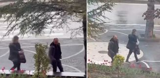 Yer: Kayseri! Belediyenin diktiği laleleri böyle söktüler Yer: Kayseri! Belediyenin diktiği laleleri böyle söktüler
