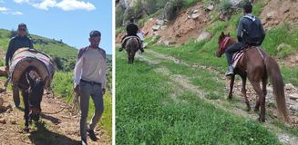 Sabah ezanıyla yola çıkıyorlar, katırlarla 3 saat gidip topluyorlar