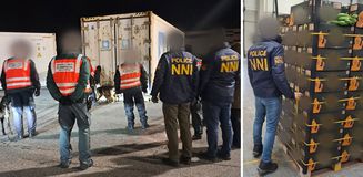 Macaristan'da Ekvador'dan gelen muzların arasına gizlenmiş yarım tondan fazla uyuşturucu ele geçirildi Macaristan'da Ekvador'dan gelen muzların arasına gizlenmiş yarım tondan fazla uyuşturucu ele geçirildi