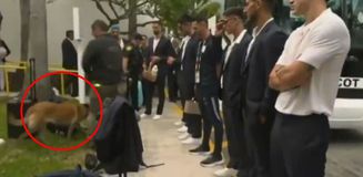 Dünya Kupası'nda olay görüntü! Uruguaylı yıldızlar köpeklerle arandı