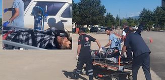 Kangal köpekleri çobanın hayatını kurtardı Kangal köpekleri çobanın hayatını kurtardı