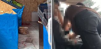 Eşini bıçaklayarak öldürdü, 1 kişiyi ağır yaralandı Eşini bıçaklayarak öldürdü, 1 kişiyi ağır yaralandı