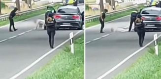 Almanya'daki 6 kişinin öldüğü silahlı saldırının faili Türk kökenli