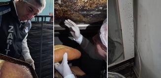 Fırındaki manzara mide bulandırdı! Zabıta müdürü görünce isyan etti Fırındaki manzara mide bulandırdı! Zabıta müdürü görünce isyan etti