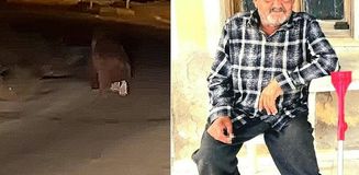 İzmir'de ayı dehşeti! Balkonda uyurken canını aldı, bir de 20 metre sürükledi İzmir'de ayı dehşeti! Balkonda uyurken canını aldı, bir de 20 metre sürükledi