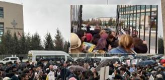 Sokak hayvanları kararı sonrası hayvanseverler AYM'nin kapısına dayandı