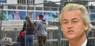 Hollanda'da hükümet düştü