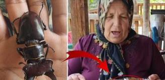 Bu böceği öldürmenin cezası 560 bin TL