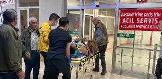 Arazi anlaşmazlığı cinayetle bitti! Eski muhtar kardeşini öldürdü, iki kişiyi yaraladı