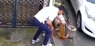 Sevmek bahanesiyle kedinin yanına yaklaştı, sonrasında olanlara inanamayacaksınız