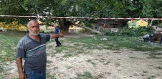 Kırılan ağaç dalı aynı aileden 11 kişiyi hastanelik etti