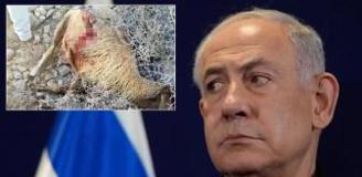 Sözün bittiği yer! Netanyahu'nun son vahşeti