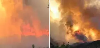 Sakarya'da orman yangını! Bir mahalle tahliye edildi
