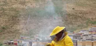 5 kovanla başladı, şimdi Türkiye'nin dört bir yanına bal satıyor