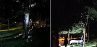 İstanbul'un göbeğinde korkunç olay! Ağaca asılı bulundu