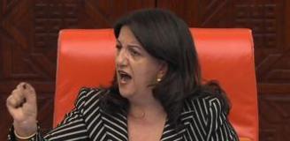 Pervin Buldan'ın isim vererek teşhir ettiği vekil: Bana cinsiyetçi mesaj gönderdi