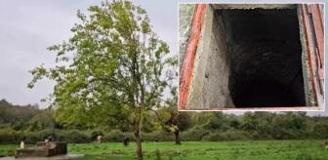 Hayvan otlatmaya geldiler, manzara karşısında şok oldular!
