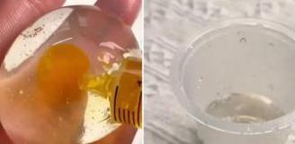 Bu da sahte yumurta! Yapılan hile ağızları açık bıraktı