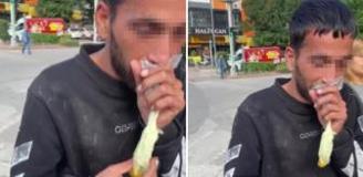 Caddede güpegündüz bali çekip kendinden geçti