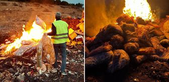 Çocukları zehirleyeceklerdi! 2 ton ürün imha edildi
