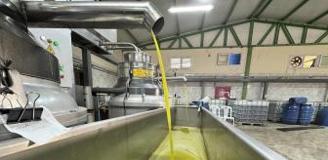 Muhtar fabrika kurup tüm mahalleyi işe aldı! Suudi Arabistan'a bile ihraç ediyor