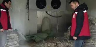 Manisa'da 4 milyon liralık bozuk kokoreç imha edildi