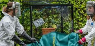 Özel güvenlik kafesinde tutuluyor, bir dokunanı intihara sürüklüyor